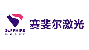 賽斐爾激光(guāng)seo項目——衆酷網絡