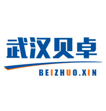 武漢貝卓SEO項目——衆酷網絡